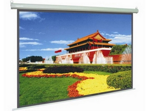 Mán chiếu treo tường DALITE (70’’ x 70’’)